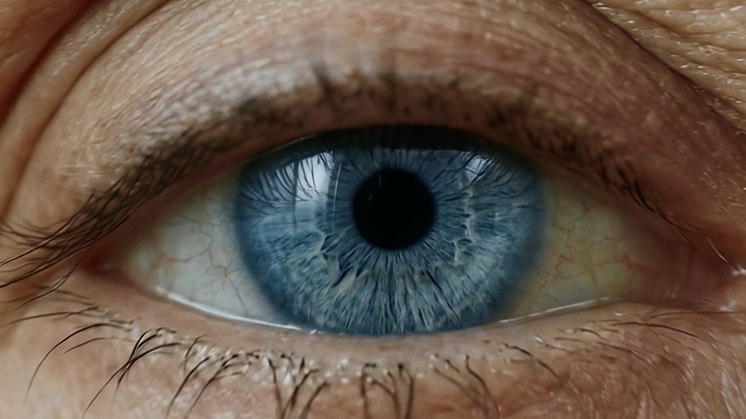 Bio Printig aktuell_01_02_10_02